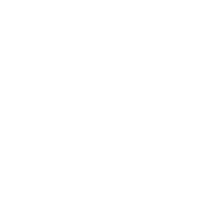 close icon
